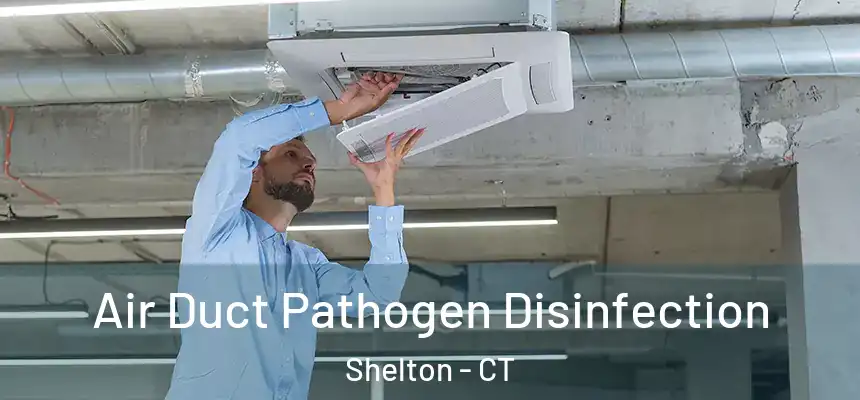  Air Duct Pathogen Disinfection Shelton - CT