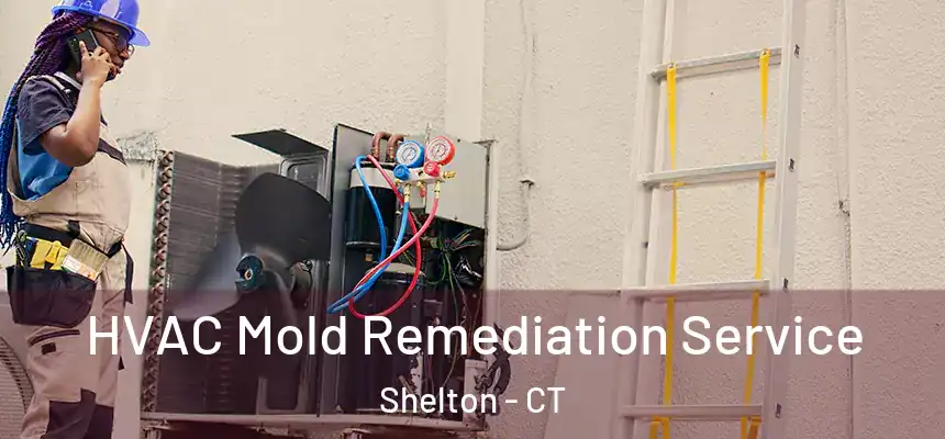  HVAC Mold Remediation Service Shelton - CT