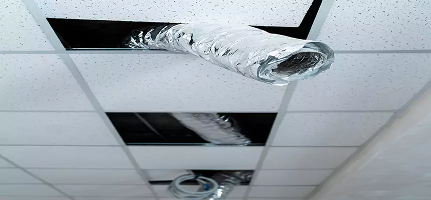 Affordable HVAC Sanitizing After Pest Removal in Shelton