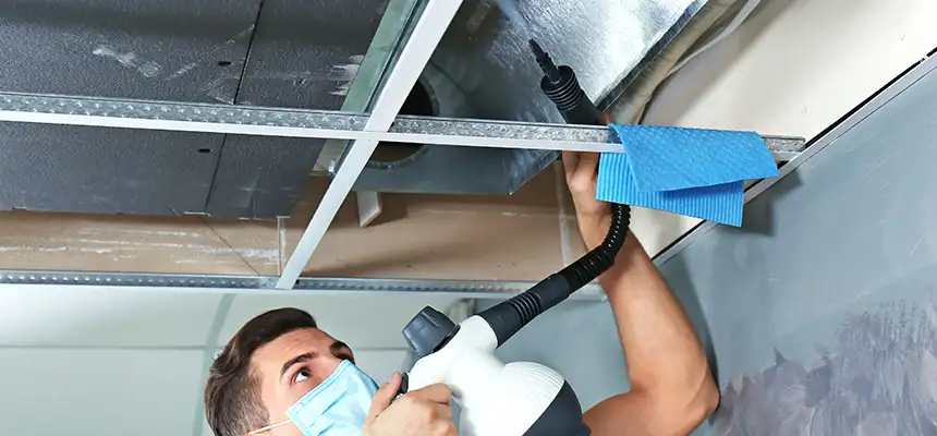 Our Air Duct Rodent Removal Services in Shelton, CT