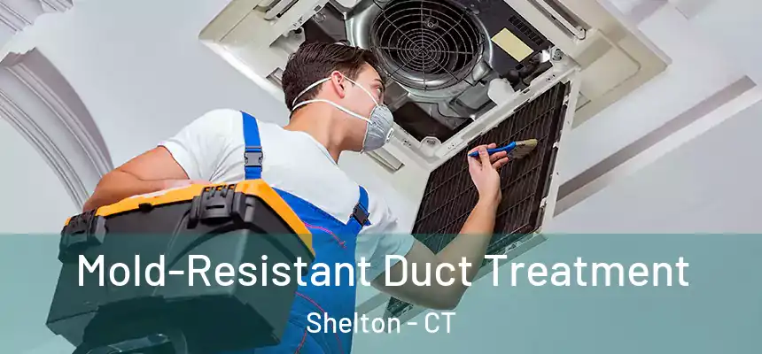  Mold-Resistant Duct Treatment Shelton - CT