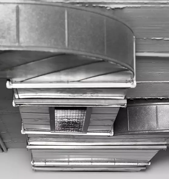 Professional Air Duct Pest Removal in Shelton, CT