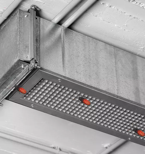 Affordable Insect Removal from Air Ducts in Shelton, CT