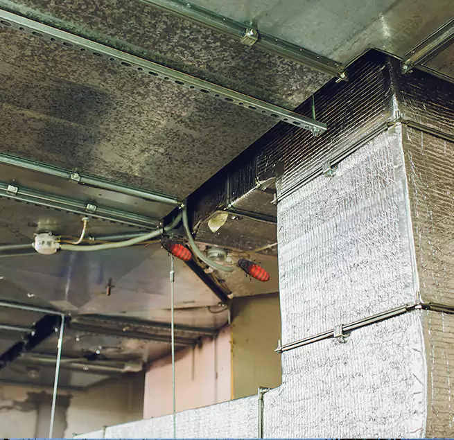 Why Homeowners & Businesses Trust Us in Shelton, CT?