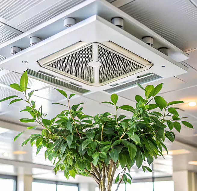 Why Homeowners & Businesses Trust Us in Shelton, CT